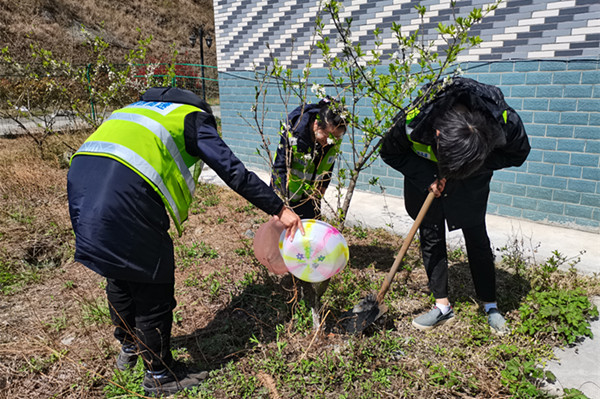 收费站植树节宣传报道图片