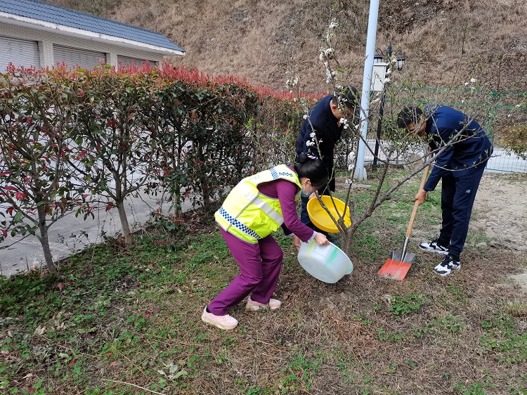 植树节3.jpg