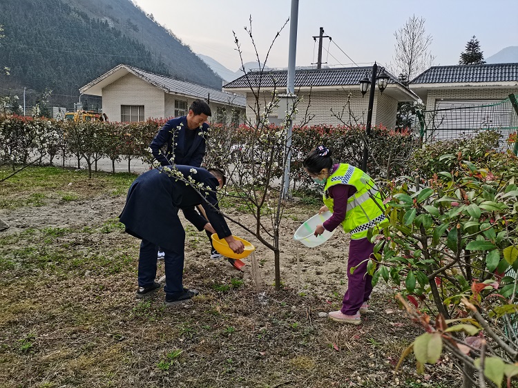 植树节1.jpg