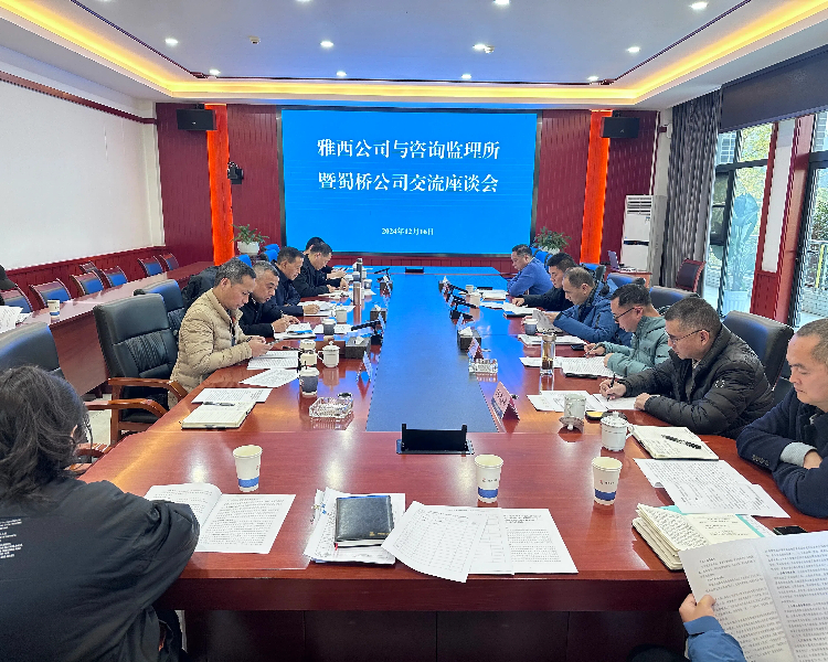 雅西公司与咨询监理所暨蜀桥公司举行交流座谈会