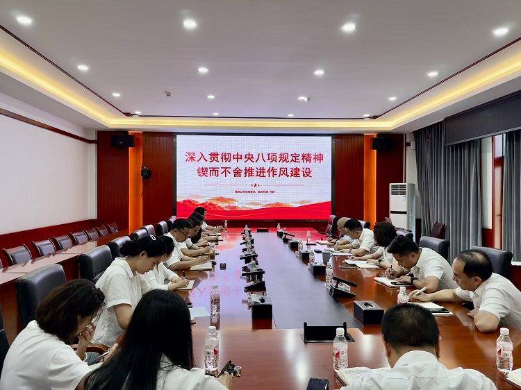 公司党委委员、副总经理何妍在机关第一党支部讲授专题党课