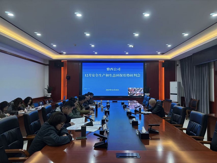 雅西公司召开12月安全生产和生态环保形势研判会.jpg