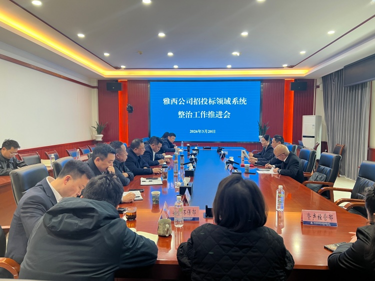 雅西公司召开招投标领域整治工作推进会