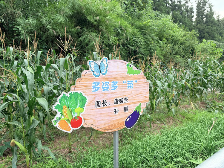 1_副本.jpg